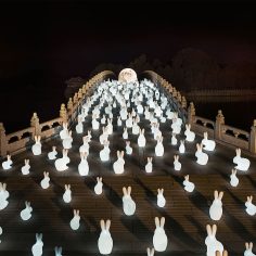 Rabbit Small Lamp with Rechargeable LED - Image 3