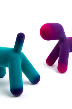 Puppy Velvet - Image 6