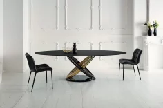 Fusion Table- Elliptical Fix - Image 2